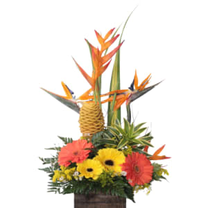 Floristeria Los Pinos Manizales